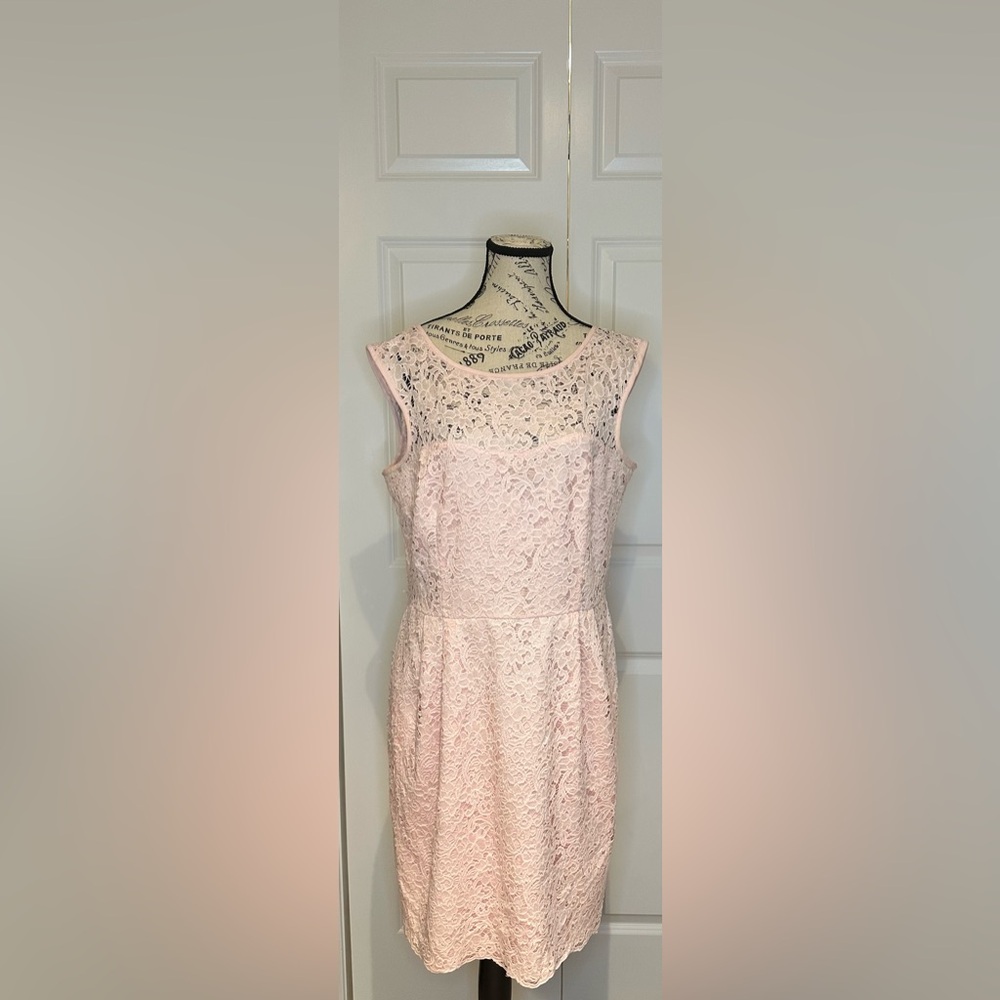 WHBM Pink Lace Dress Size 12 P2P 21 Length 37 Waist 19